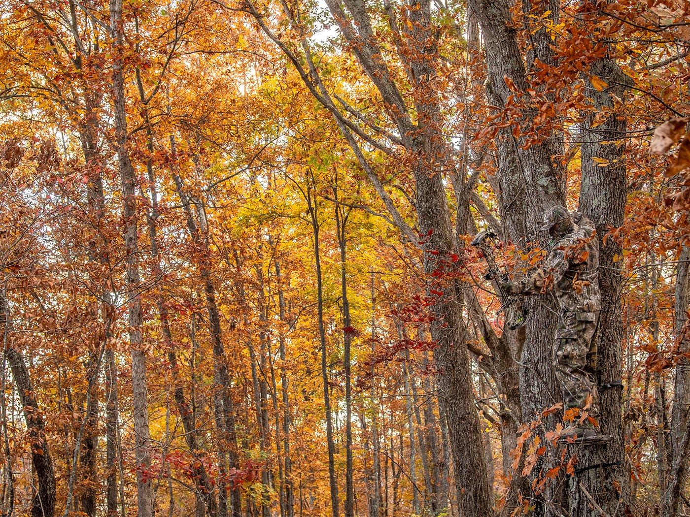 APX Konway 4x3 Brown Image